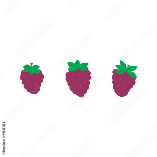 Set of 3 colorful raspberry icons, simple vector cartoon style illustration elements for product or web design.