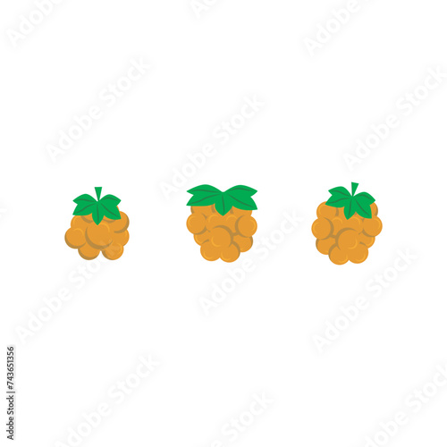 Set of 3 colorful cloudberry  icons, simple vector cartoon style illustration elements for product or web design.