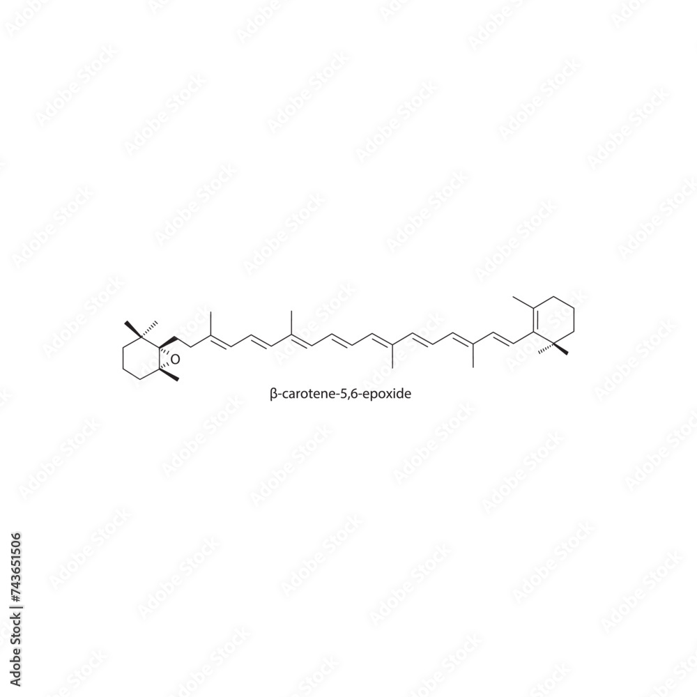 β-carotene-5,6-epoxide skeletal structure diagram.Caratenoid compound molecule scientific illustration on white background.