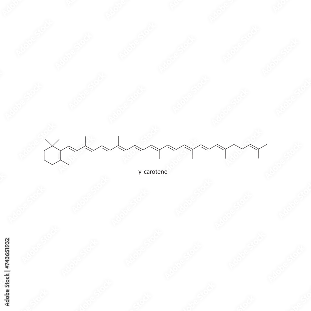γ-carotene skeletal structure diagram.Caratenoid compound molecule scientific illustration on white background.