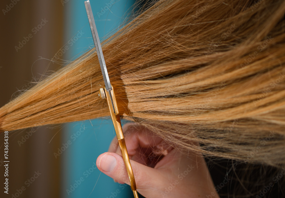 Fototapeta premium Obcinać nożyczkami fryzjerskimi proste blond włosy z bliska 