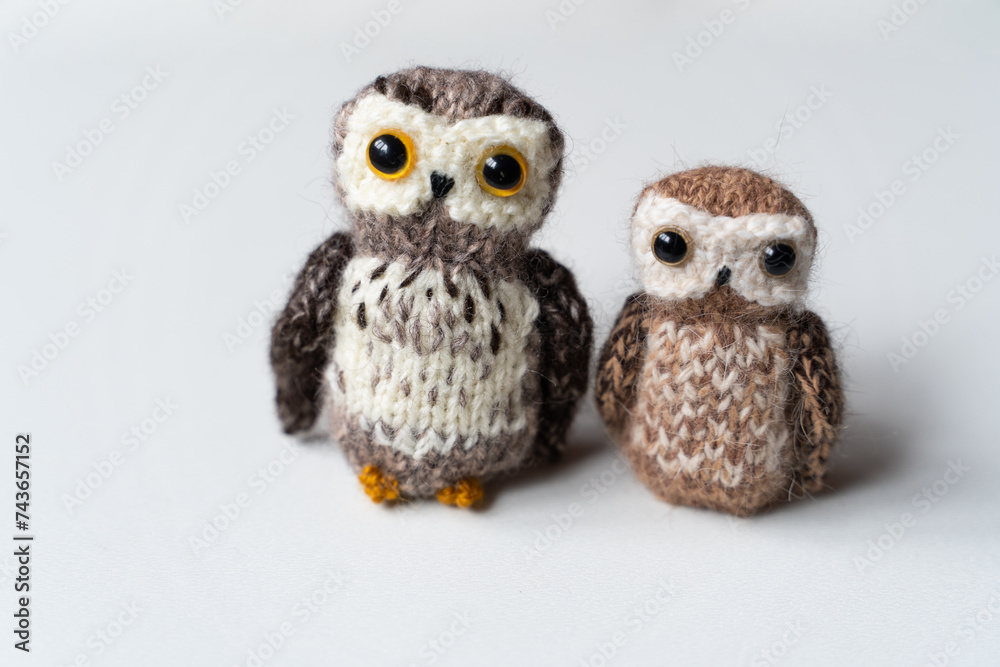 Obraz premium Knitted couple owl toy on a white background