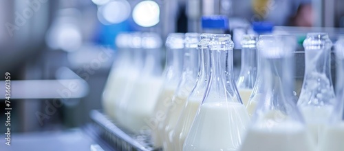 Testing milk for quality control in a laboratory is essential for the dairy industry. © Emin