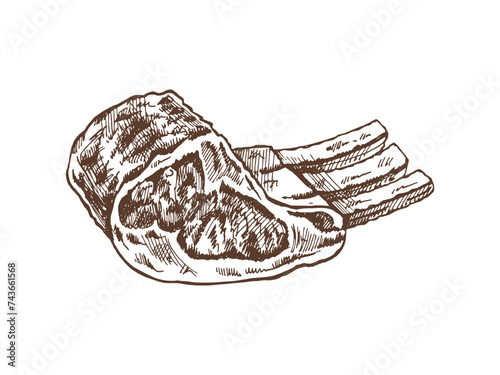 Organic food. Hand-drawn vector sketch of pork, beaf, lamb ribs, piece of meat. Doodle vintage illustration. Decorations for the menu of cafes and labels. Engraved image.