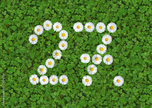 number written with daisies (bellis perennis) on green clover photo