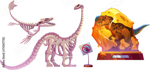 Set of dinosaur skeletons isolated on white background. Vector cartoon illustration of dino bones on wooden stand, no touch warning sign, history museum exhibition kit, remains of ancient animals