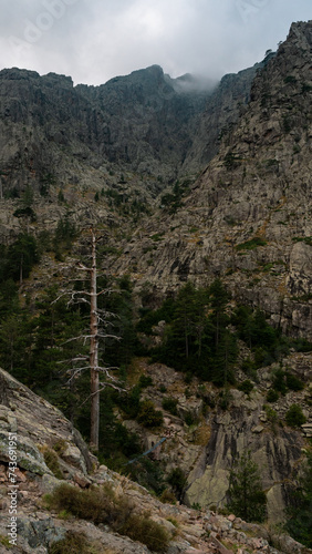 Hike in Bonifatu to the Spasimata footbridge in Corsica photo