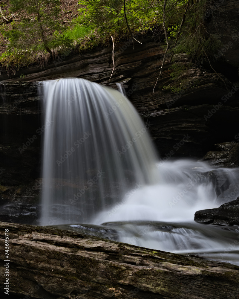 Obraz premium waterfall in the woods