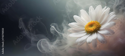 Panel kuchenny z motywem Makro kwiat,  wiosenna stokrotka. Abstrakcje kwiatowe z dymem, puste miejsce