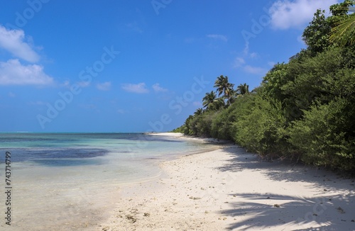 Fototapeta Naklejka Na Ścianę i Meble -  Palm trees on the beautiful beaches of the Maldives in the Indian Ocean.