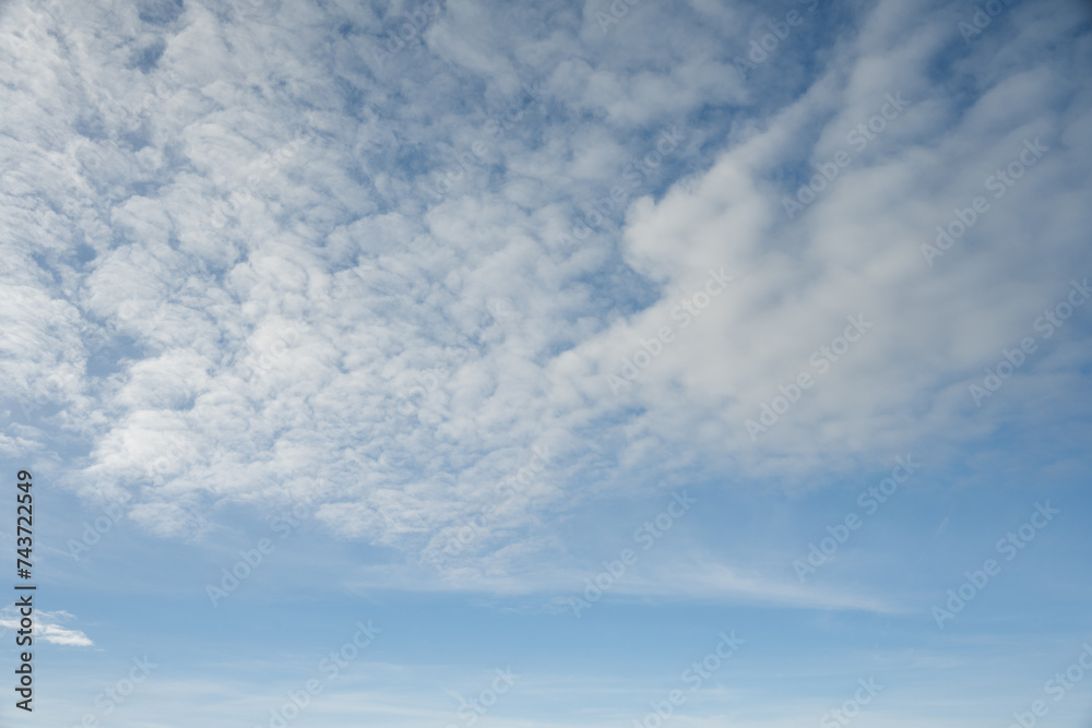 Fototapeta premium blue sky over the savannah of Africa