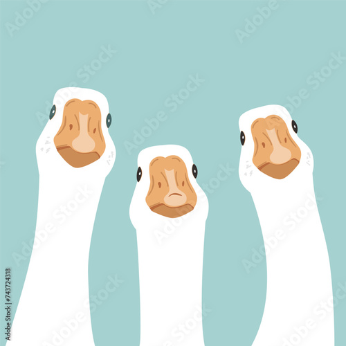 Three cute geese. Cute birds design element. Vector illustration isolated on blue background.