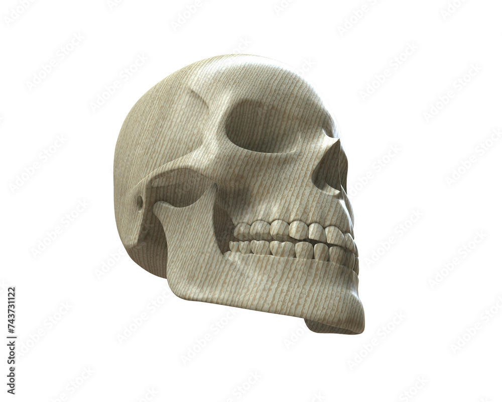 Obraz premium Skull isolated on background. 3d rendering - illustration