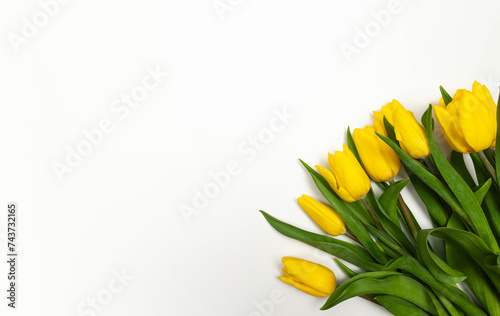 Top view of yellow tulips on white background. Spring colourful composition. Flowers bouquet flat lay, copy space.