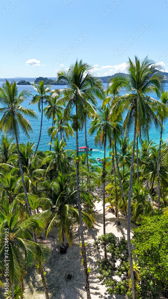 Drone views of a paradise beach and jungle Drone views of a paradise beach and jungle