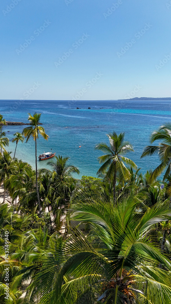 Fototapeta premium Drone views of a paradise beach and jungle