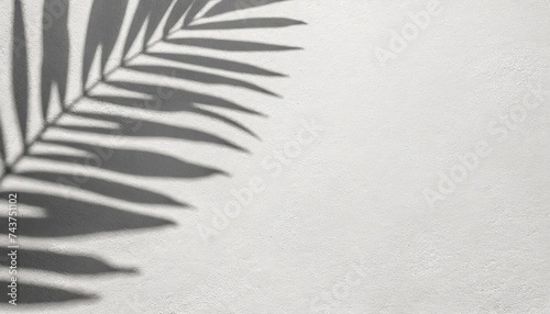 white cement texture wall with gray shadow of leaf plant summer abstract background minimal concept copy space mockup