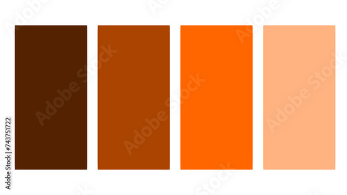 Brown color palette. Set of bright color palette combination in rgb hex. Color palette for ui ux design. Abstract vector illustration for your graphic design, banner, poster or landing page