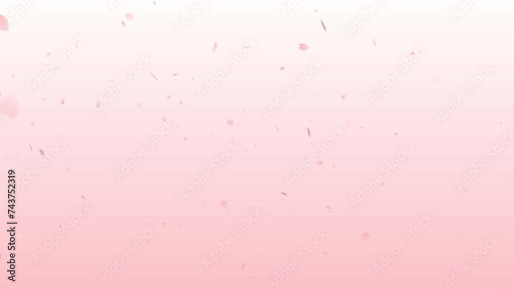 桜の花びらが舞うイメージ(ピンク) 桜の花びらが舞うイメージ(ピンク)