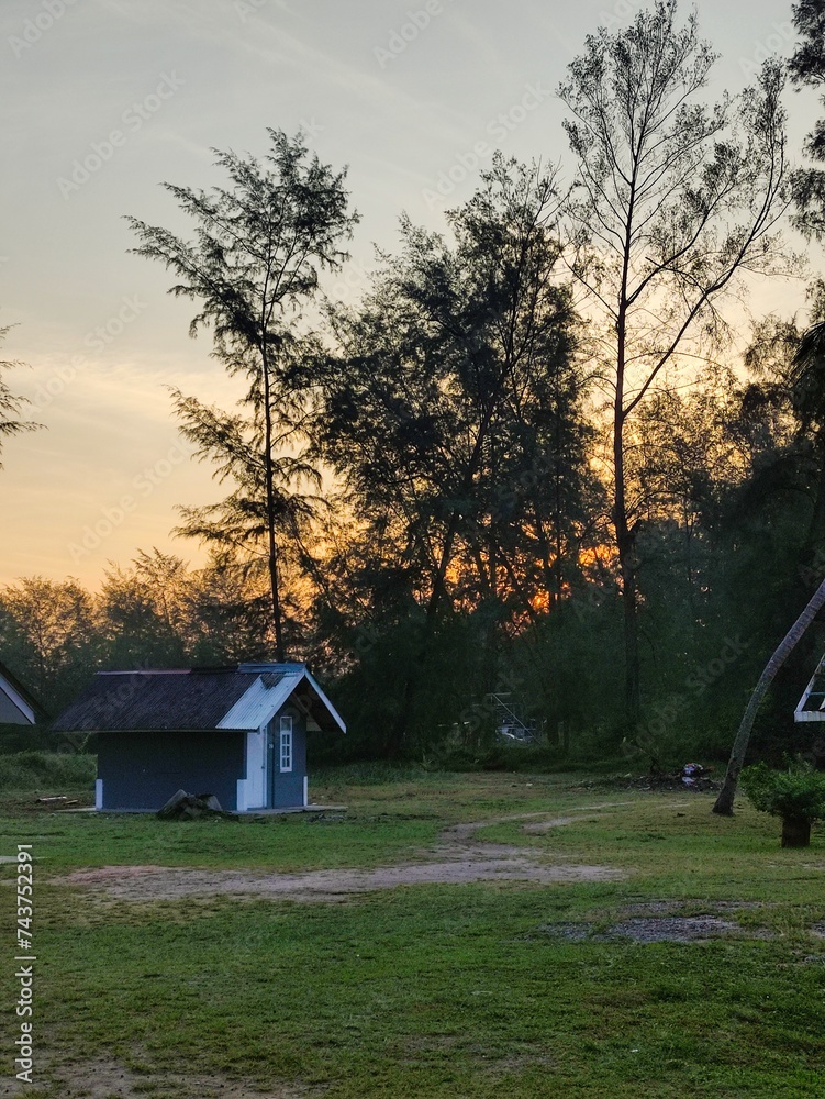house in the woods house in the woods