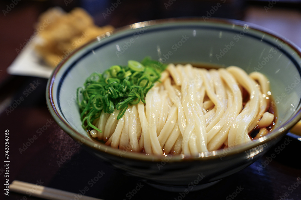 美味しそうな讃岐うどん 美味しそうな讃岐うどん