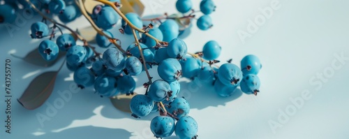 blue berries on blue background