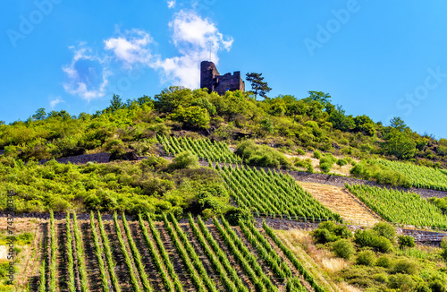 Castle Nollig  Lorch  Rhineland-Palatinate  Germany  Europe.