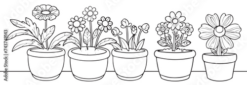 Set of continuous one line drawing of a flowers in a pots