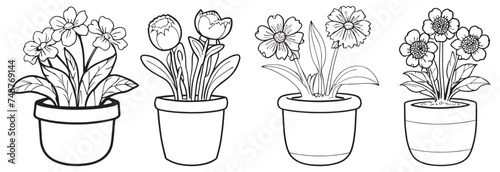Set of continuous one line drawing of a flowers in a pots