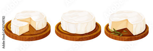 Set Camembert cheese, brie french soft creamy food on wooden tray with rosemary isolated on white background. 