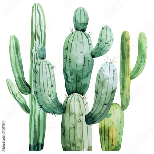Watercolor tropical drawing with cactus isolated photo