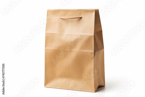 Plain Brown Paper Shopping Bag Isolated on White