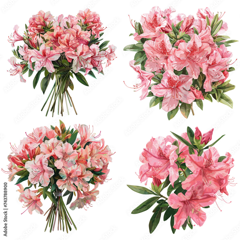 Set of watercolor Azalea Flower isolated on white background