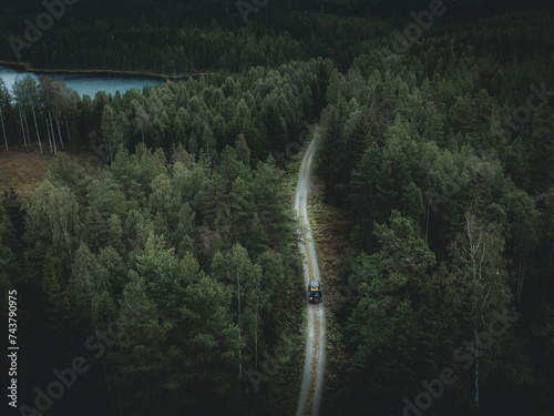 Värmland Voyages: A Journey Through the Wild