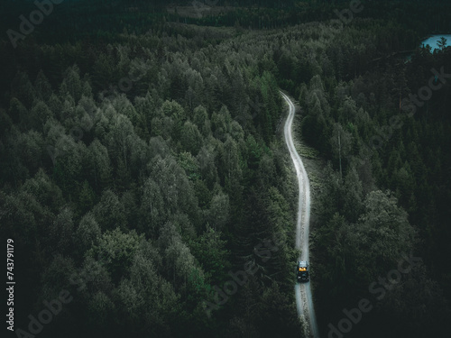 Värmland Voyages: A Journey Through the Wild