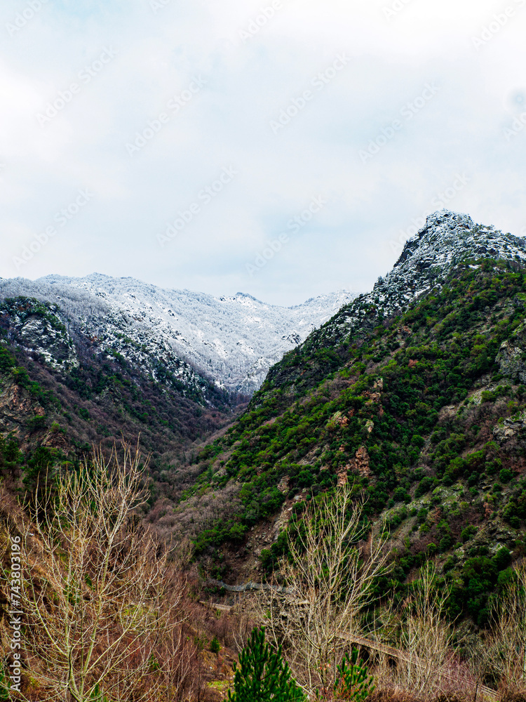 Naklejka premium OLYMPUS DIGITAL CAMERA