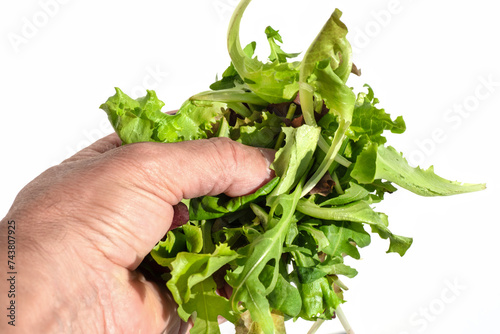 Male hand gripping a tuft of salad