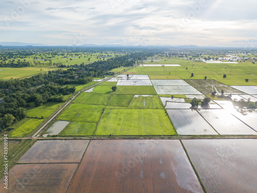High angle view of agricultural farms, mainly rice and paddy productions, in Asian region.