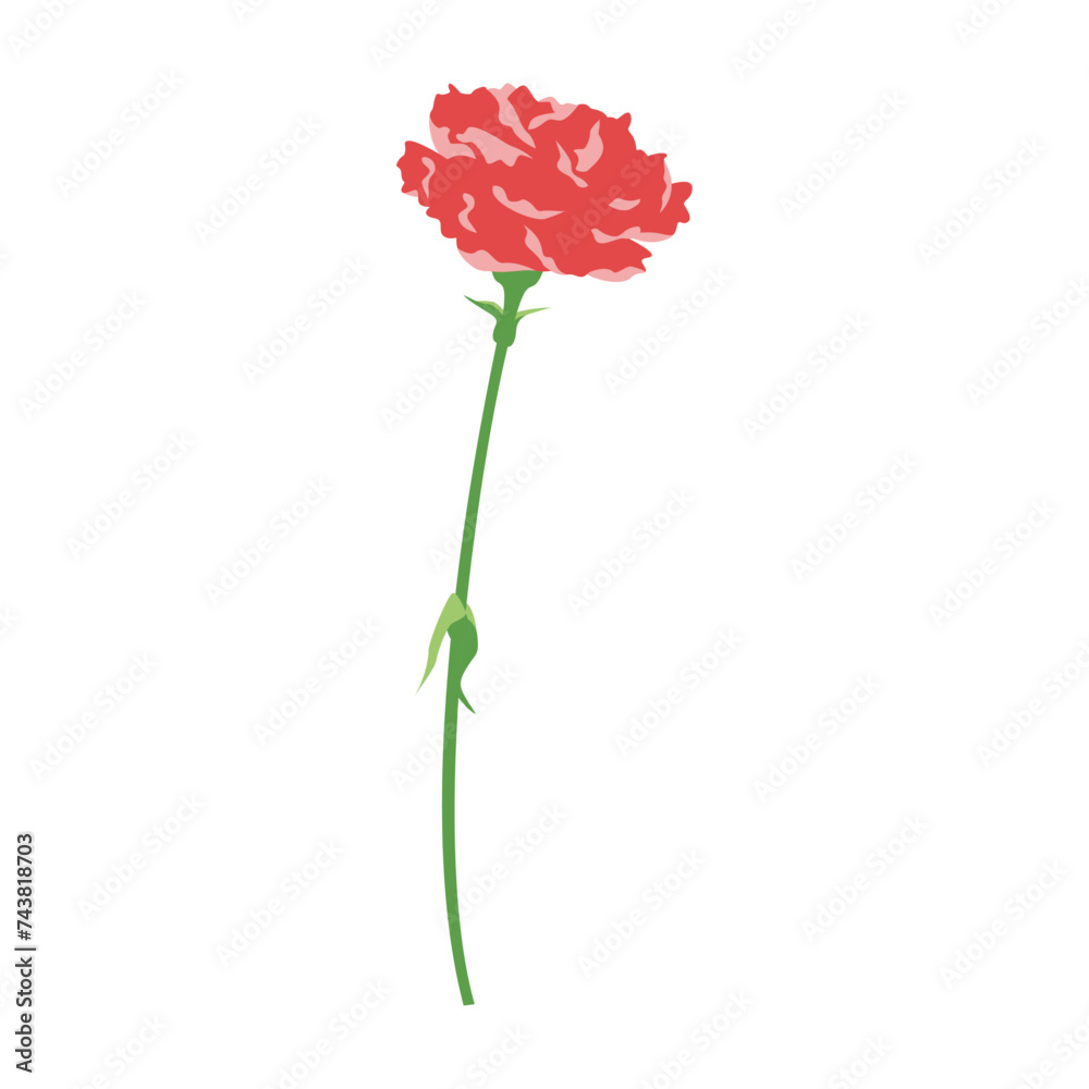 一輪のカーネーションのイラスト、アイコン、ベクター 一輪のカーネーションのイラスト、アイコン、ベクター