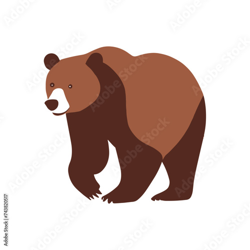 brown bear vector illustration