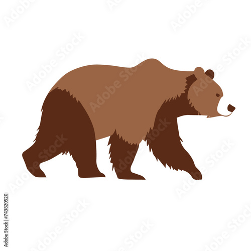 brown bear vector illustration