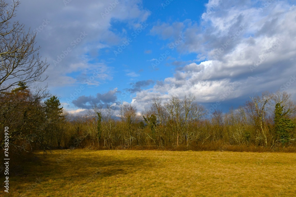 Meadow at the forest edge at Kras, Primorska, Slovenia with beautiful clouds in the sky