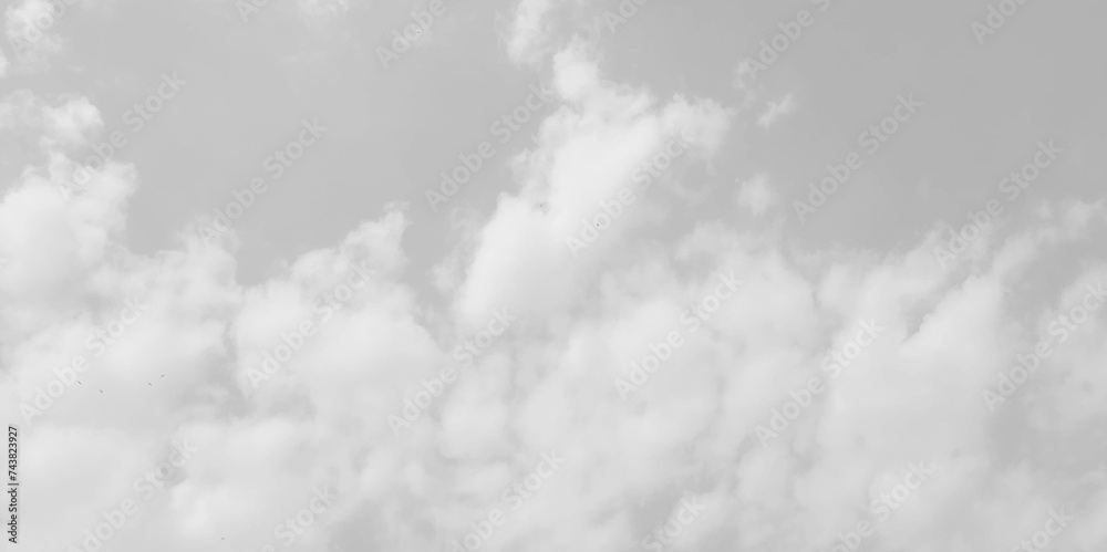 Fototapeta White cloud in the sky. View on a soft white fluffy cloud as background. Cloudy sky, white clouds, black background pattern. The gray cloud trendy photo. White sky image	