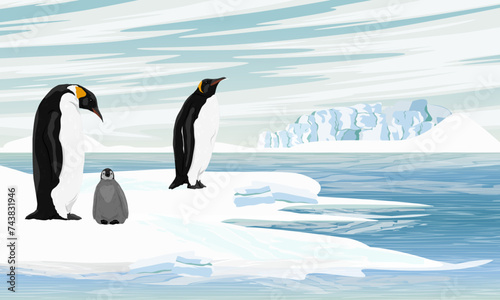 A family of emperor penguins stands on the ocean shore. Birds of the South Poles. Realistic vector landscape