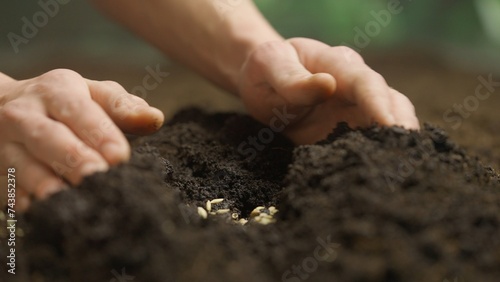 Gardener putting seeds in the ground. Man farmer hands planting sowing seed in soil preparation for spring season, organic farming and gardening.
