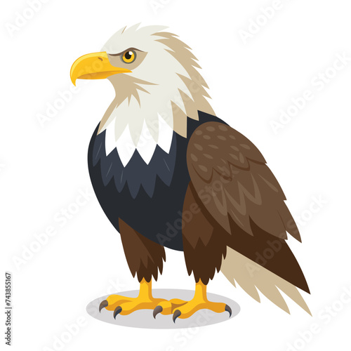 Bald Eagle flat Vector illustration on white background.