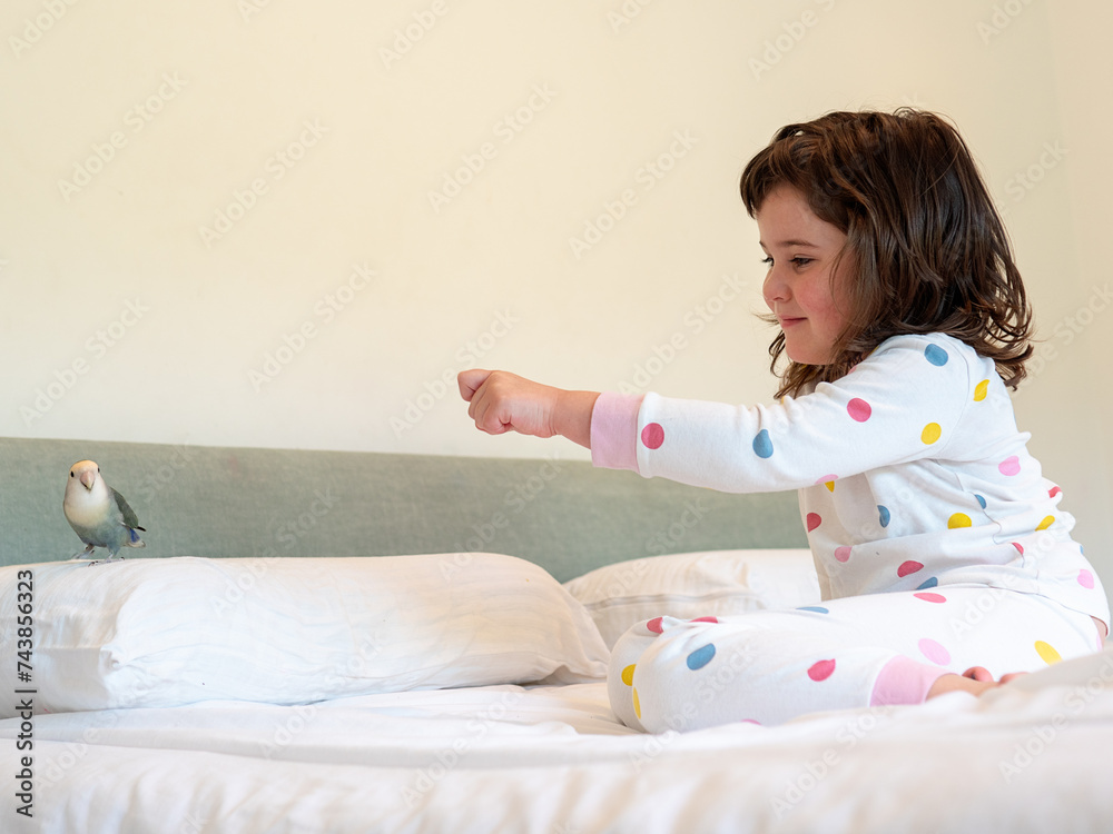 A little girl plays with her pet agaporni bird. A little girl plays with her pet agaporni bird.