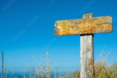 close-up of a weathered wooden sign, its rough texture and natural grain highlighted against the backdrop of a summer sky