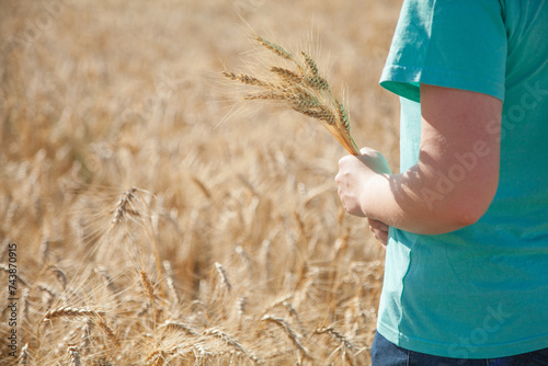 Close up of girl holding a sheaf of bearded wheat photo