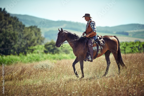 Meadow, western and cowboy riding horse with hat on field in countryside for equestrian or training. Nature, summer and rodeo with mature man on horseback saddle at ranch outdoor in rural Texas